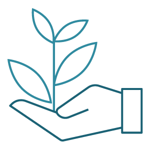 mentorat-1-1-chaque-semaine